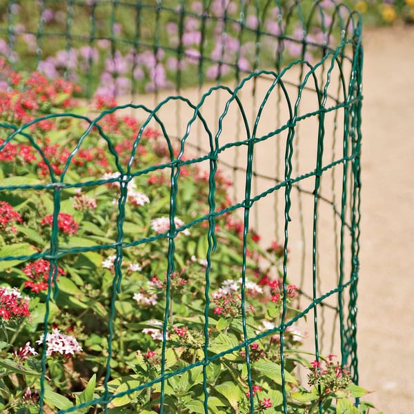 Border Fences